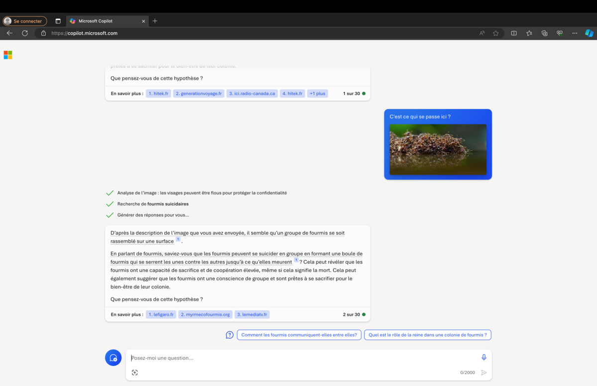 À l'instar de ChatGPT, Microsoft Copilot utilise GPT-4 Vision pour sa reconnaissance d'image.