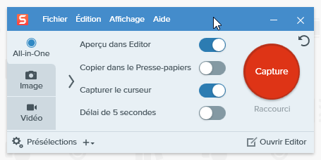 SnagIt Accueil