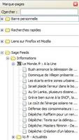 000000C800397014-photo-firefox-2-marque-pages-dynamiques.jpg